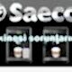 saeco espresso makinesi destek